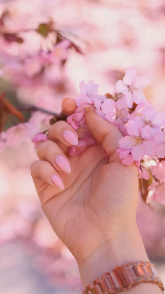 A hand with almond-shaped nails in a soft, matte bubblegum pink finish gently touching a branch of blooming pink cherry blossoms. The nails have a smooth, non-reflective velvet texture that provides a modern contrast to the delicate, natural petals. The background is a soft-focus blur of pink flowers and warm sunlight, highlighting the "high-fashion chic" aesthetic of the manicure.